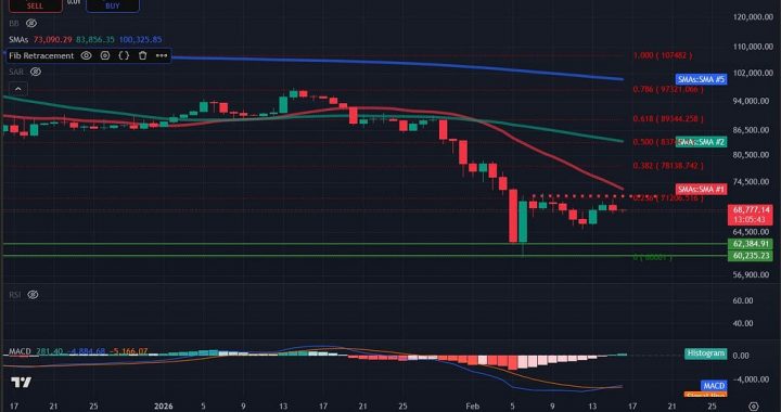 Bitcoin Price Analysis: BTC Falls Back After Brief $70,000 Sojourn