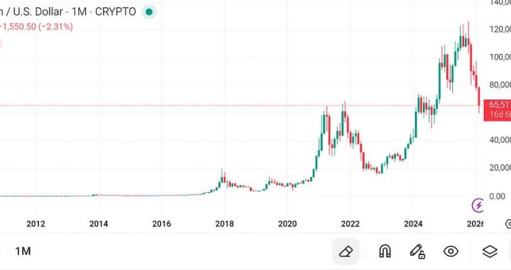 Bitcoin’s Journey From $0 to $120,000 — And Why Its Structure Still Separates It From Every Other…