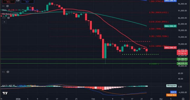 Bitcoin Price Analysis: BTC Plunges 5% As Persistent Whale Selling Drives Price Below $65,000