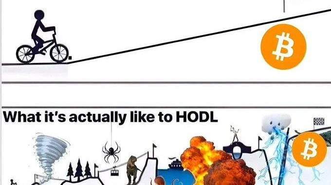 ️ DeFi Yields Survive 10% Crash: $8.73 Daily from Beefy Vaults Amid BTC Bloodbath