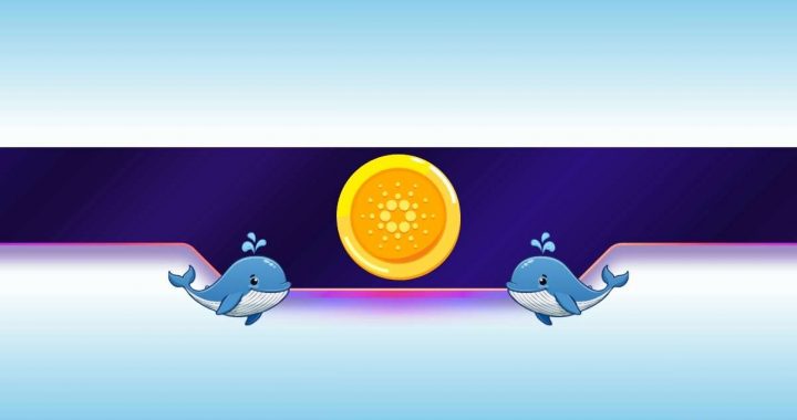 190,000,000 ADA in 1 Week: Is Cardano on the Verge of a Further Dump?