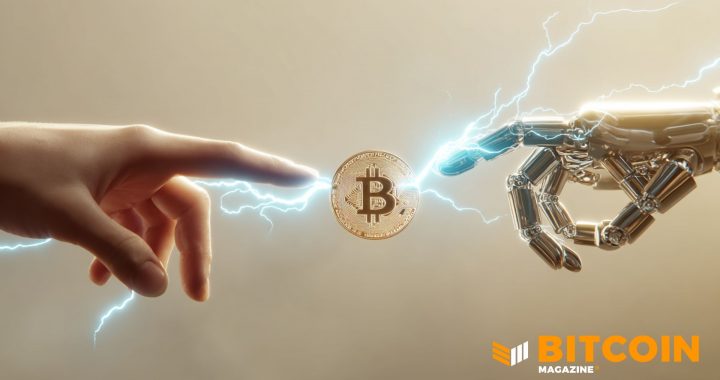 Bitcoin’s 50% Slide: Quantum Scare or Capital Rotation?