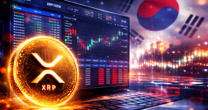 This Korean XRP Exchange Data Has The Community Losing It