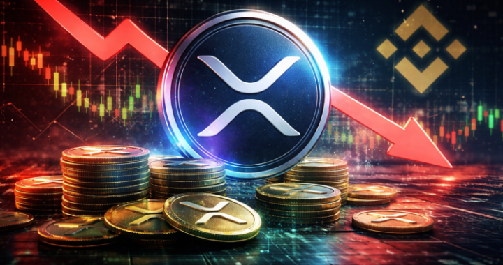 XRP Faces Short-Term Risk As Whale Inflows Hit Binance, On-Chain Data Shows