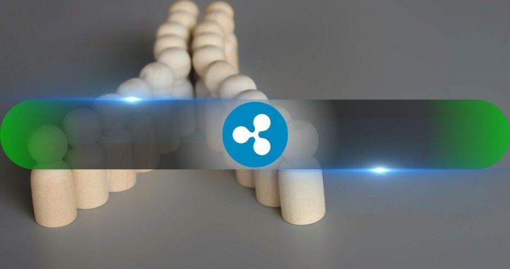 XRP Holders Realize Major Losses as Price Decline Triggers Panic Selling