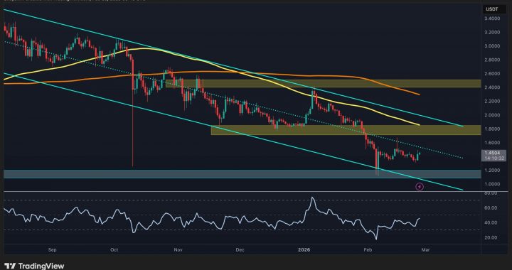 Ripple Price Analysis: XRP’s Next Critical Levels to Watch After 20% Bounce