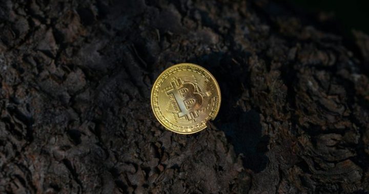 Bitcoin Should Be Flying—Instead, Quantum Risk Keeps It Grounded: Analyst
