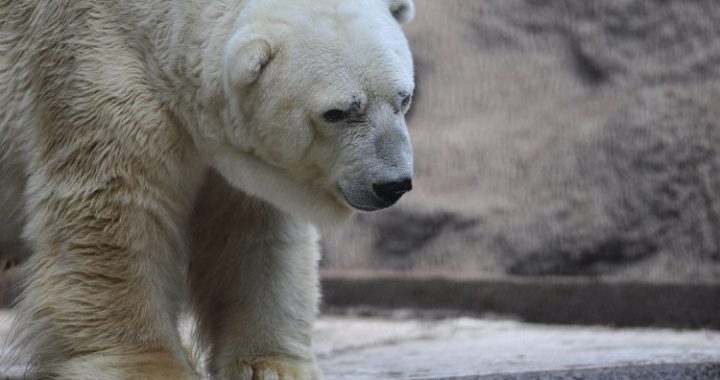 Crypto Industry Set For Big Shakeups, Massive Consolidation Expected: CEO