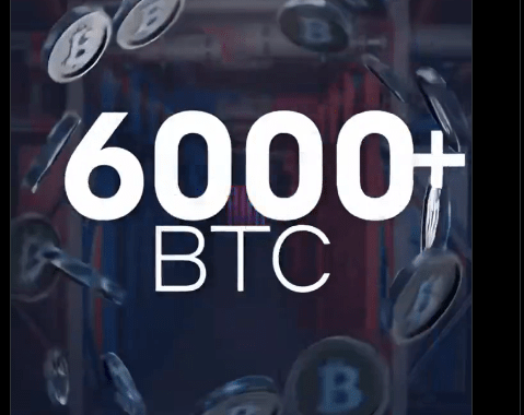 Trump-Backed American Bitcoin Secures Spot In Elite Corporate Crypto Circle