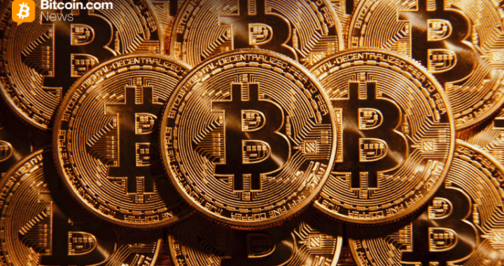 Strike Extends Margin Call Window for Bitcoin-Backed Loans as Volatility Intensifies