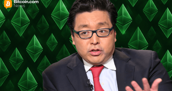 Digital Asset Treasury Firm Bitmine Adds 51,162 ETH Amid Market Pullback