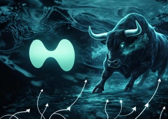 Hyperliquid (HYPE) Eyes Native Token Issuance With Latest Upgrade Plan