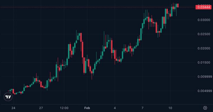 What Is WAR Crypto? The Only Coin Pumping In This Bear Market