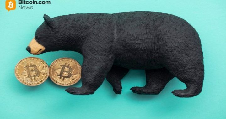 Bear Market Bottom Alerts, Dalio’s CBDC Warning, and More – Week in Review