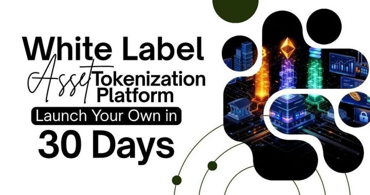White Label Asset Tokenization Platform: Launch Your Own in 30 Days