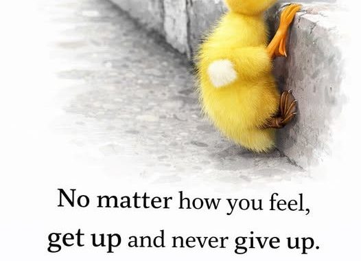 DeFi Compounding Strategy: How My Crypto Portfolio Generates Yield Every Week