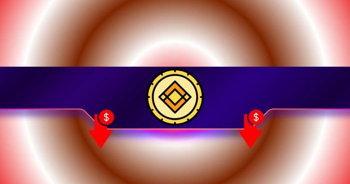 These Altcoins Crash Hard Following Binance Delisting: Details