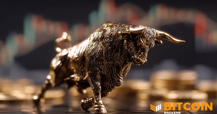 Bitcoin’s Ownership Base is Maturing, Reducing Reliance on Retail: Analysts