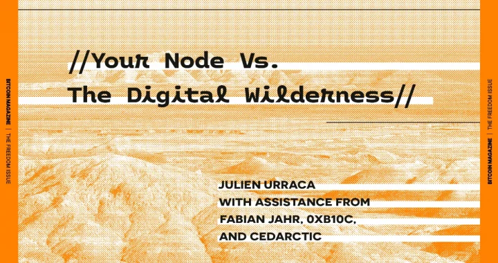 The Core Issue: Your Node Vs. The Digital Wilderness