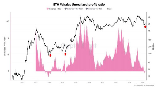 Ethereum Whales Are Making Money Again, But Will They Hold Or Sell?