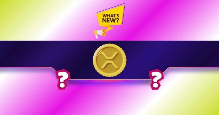 Ripple (XRP) News Today: March 3rd