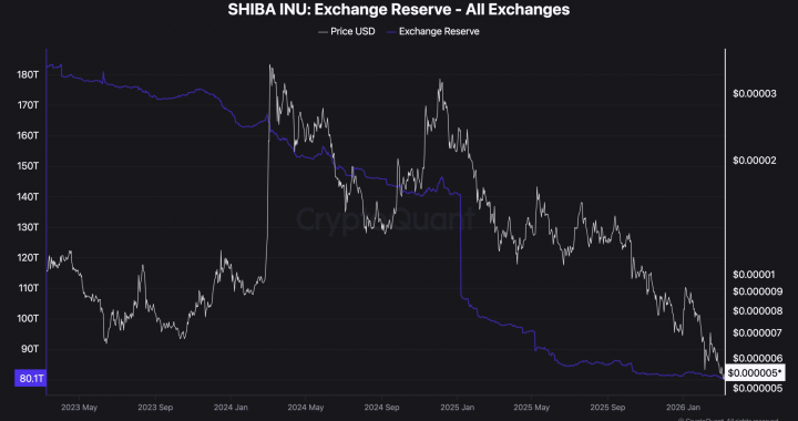 Shiba Inu Price Prediction: ‘Whale Watch’ What 131 Billion Token Withdrawals Mean for Your Bags
