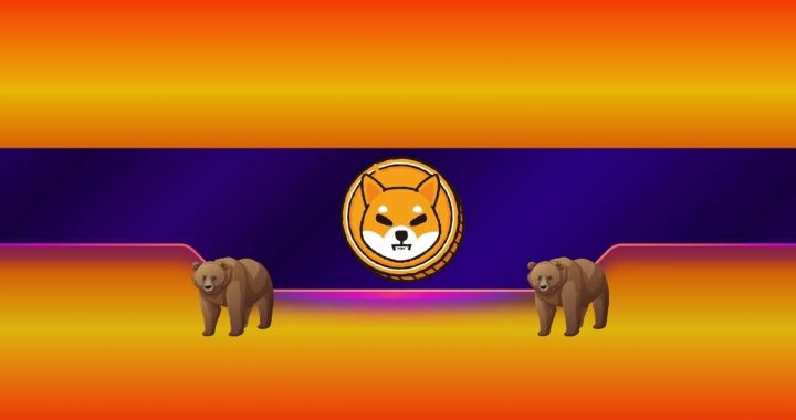 Shiba Inu (SHIB) Plunges by 17% in 2 Weeks: Is a 75% Crash Next?
