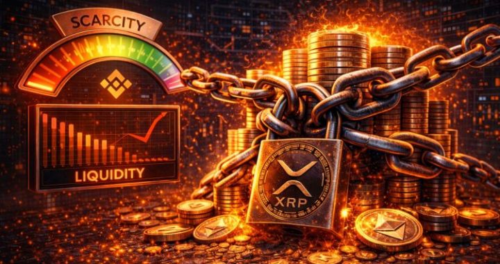 XRP Supply Tightens On Binance As Scarcity Index Signals Limited Liquidity
