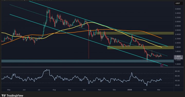 Ripple Price Analysis: Why the XRP/BTC Pair Is Flashing a Major Warning Signal