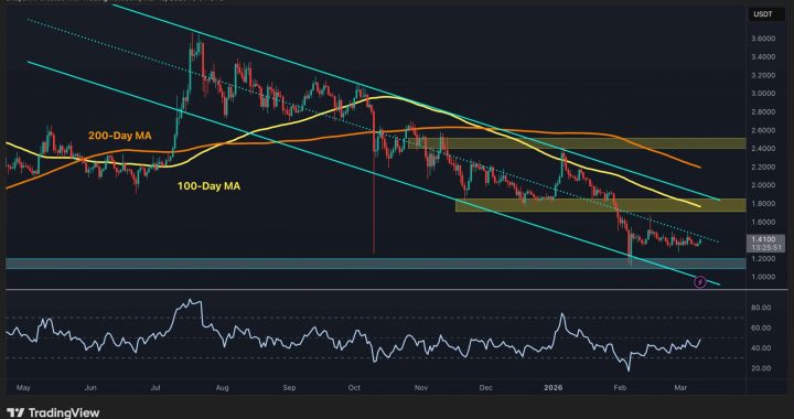 Ripple Price Analysis: Where Is XRP Heading Next After 5% Weekly Increase?