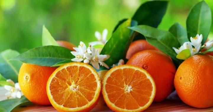 Another Bitcoin Buy Coming? Saylor Sparks Speculation With ‘Orange Dots’ Post