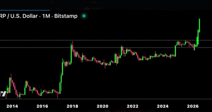 Say What You Want — XRP’s Chart Is Screaming $50 — Analyst