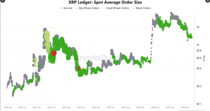 8.25M XRP Exit Long-Term Holders As Whales Buy $1.20–$3