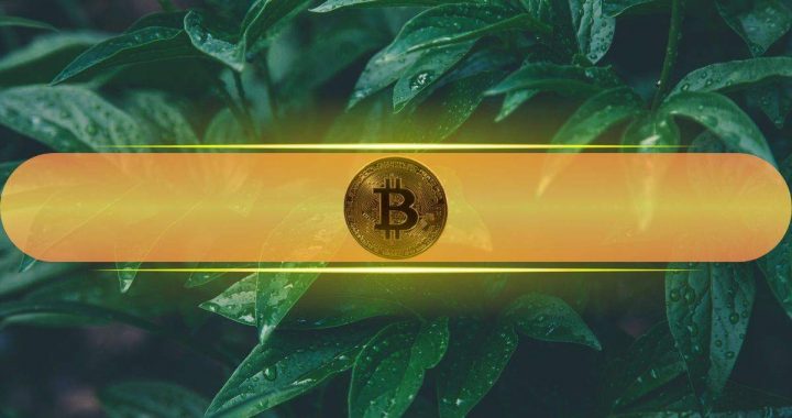 Bitcoin’s Leverage Ratio Drops Sharply – Is a Healthier Market Reset Underway? 