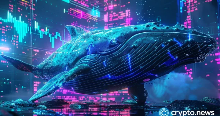 Crypto market consolidates: A look at the altcoins whales are watching this month