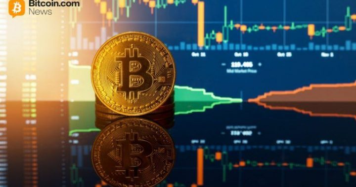 Diamond Hands Win: 85% of Bitcoin Holders Stood Firm Through the February Dip