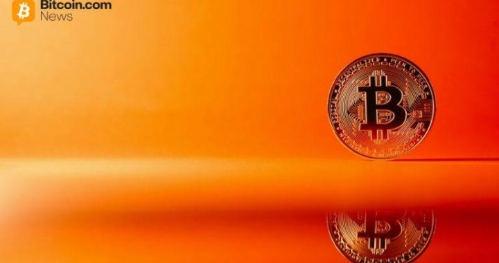 Citrea Foundation Forms to Advance Bitcoin Programmable Infrastructure and Decentralization