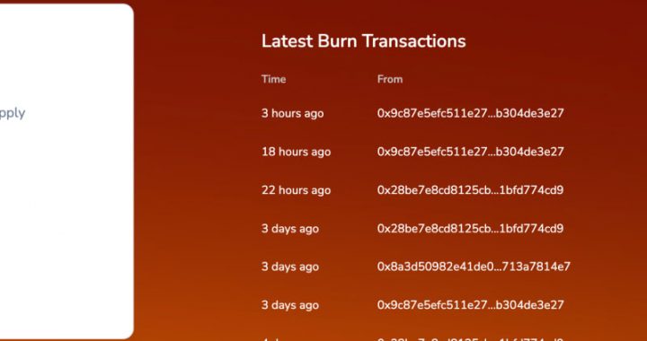 Shiba Inu Price Analysis: Burn Rate Skyrockets 53,000% – What Does This Mean?