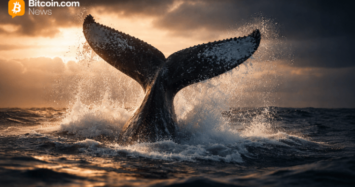 2012 Bitcoin Whale Quietly Moves 2,100 BTC Worth $146M as Dormant Supply Stirs