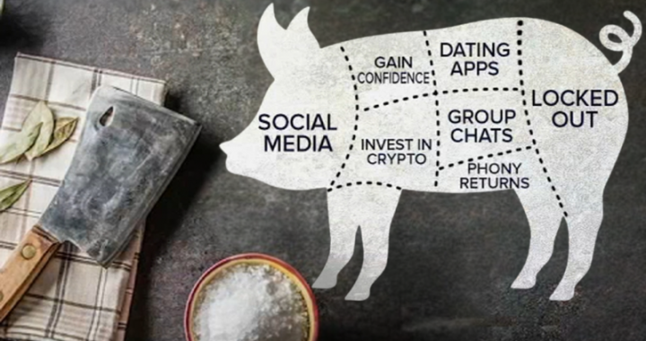 The 2026 Crypto Scam Warning List: How to Spot Pig Butchering Scams and Avoid Fake Trading…