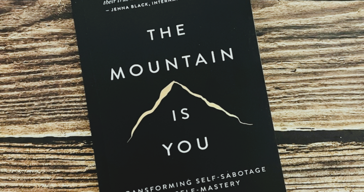The Mountain Is You — Why Your Biggest Enemy Might Be Yourself (And How This Book Helps You…