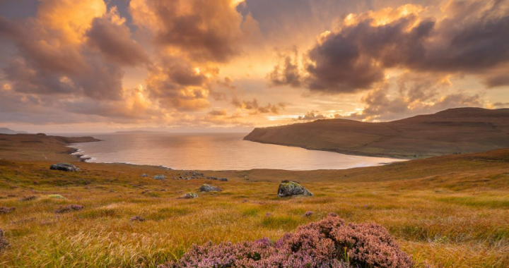 供给在收缩，需求在等待｜WTR 10.13