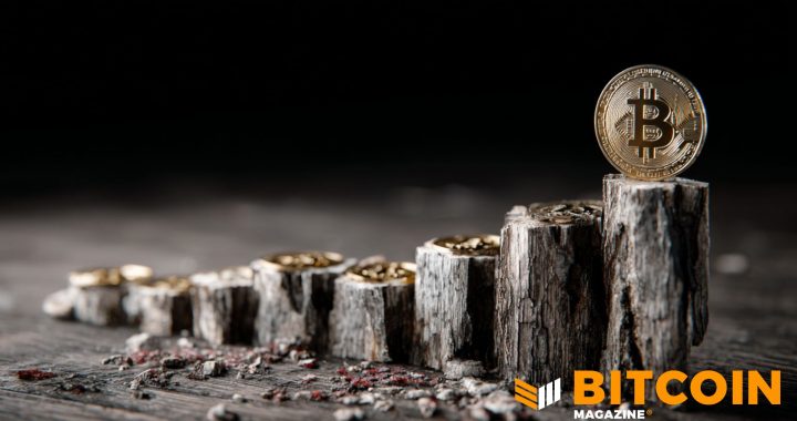 Bitcoin Moves Past Halfway Point in Halving Cycle as Supply Tightens Toward 2028