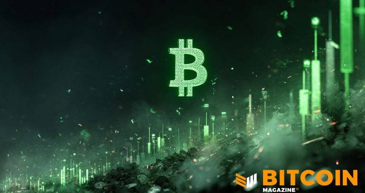 Bitcoin Price Roars Past $76,000 as Short Squeeze Continues