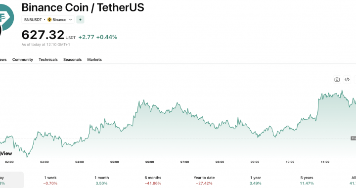 BNB Crypto Gets a 2x Leveraged ETF on NYSE Arca: Big Step or Big Risk?