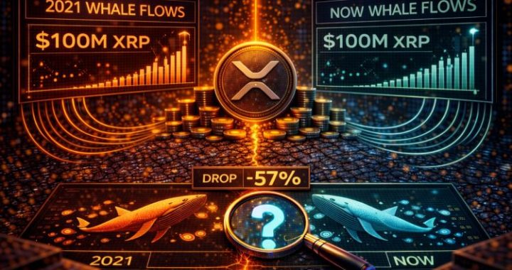 XRP Whale Flows Hit 2021 Levels: Is History Repeating?