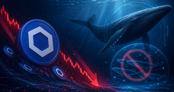 Chainlink Is Getting Cheaper And Whales Are Not Buying The Dip: Discount Or A Trap?