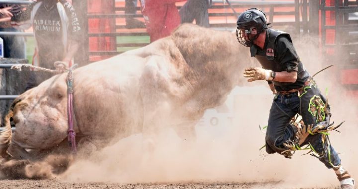 Bitcoin Bull Run Brewing: ATH In Sight By Late 2026: Analyst