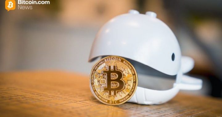 Bitcoin Tests $75,000 as Whales Accumulate 270,000 BTC