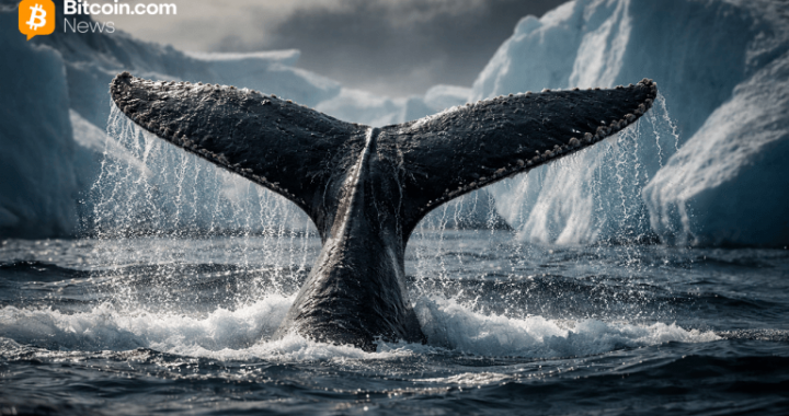 Bitcoin Whale Last Active in 2014 Executes Five-Transaction Move Totaling 500 BTC
